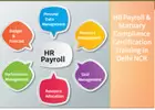 HR Payroll Coaching Classes in Delhi,  SLA Classes, SAP HCM Certification in Gurgaon